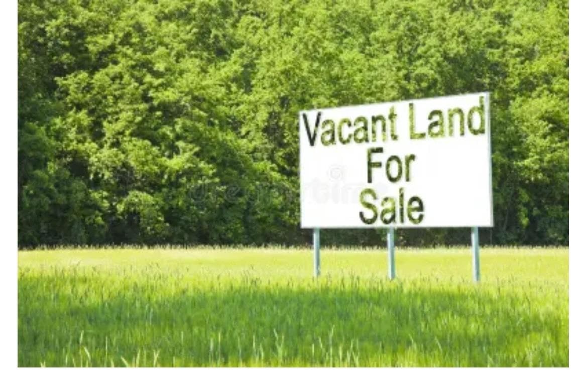 Unimproved Land at 0 US Highway 62/82