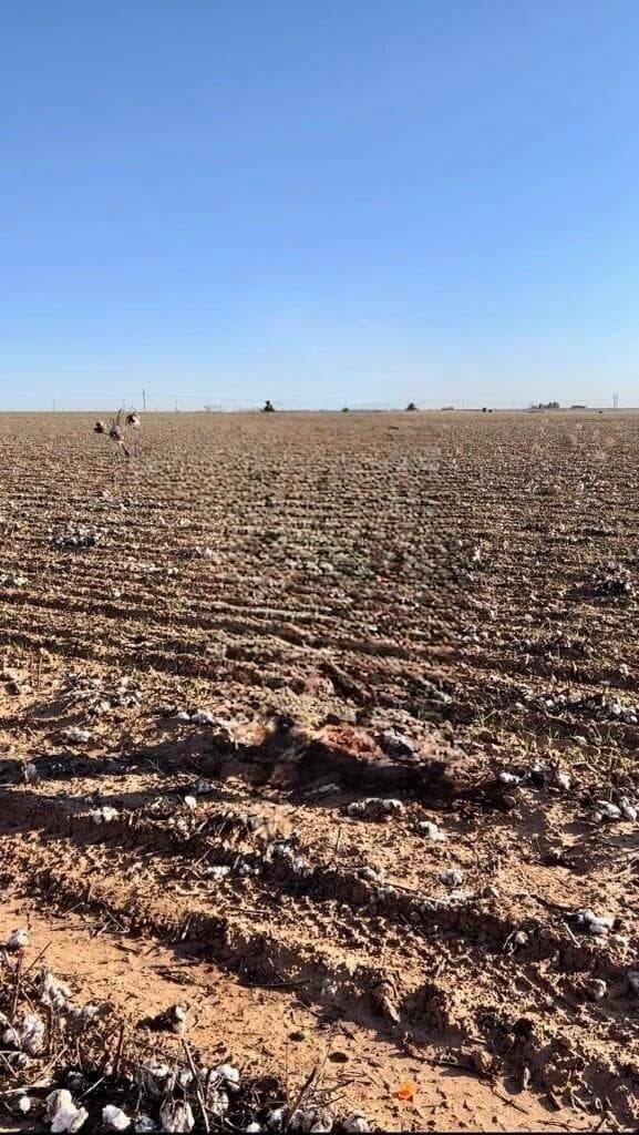 Unimproved Land at 6437 & 6441 Cotton Country Road