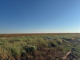 Unimproved Land at County Rd 1100