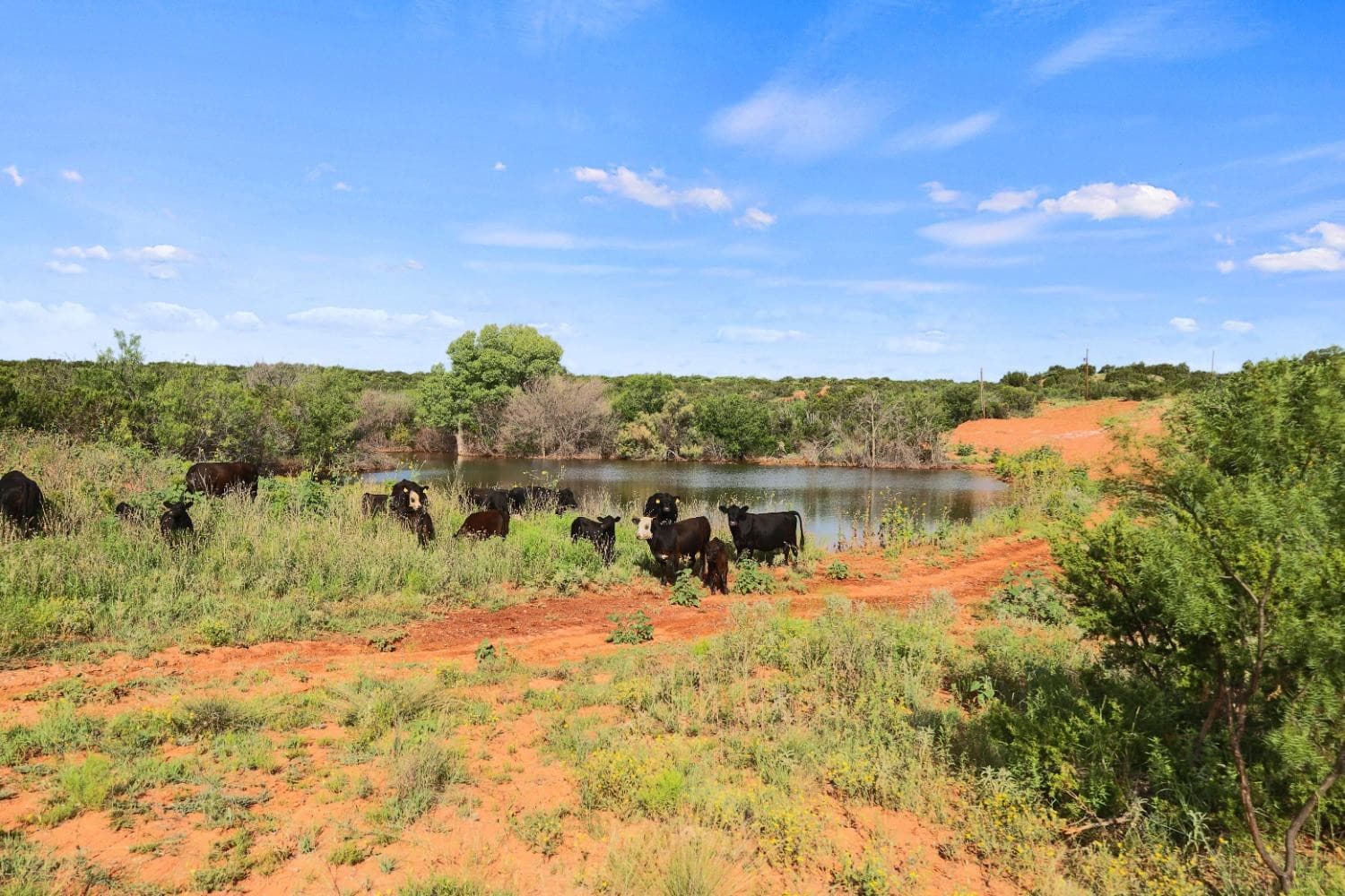 Unimproved Land at 1441 Co Rd 362