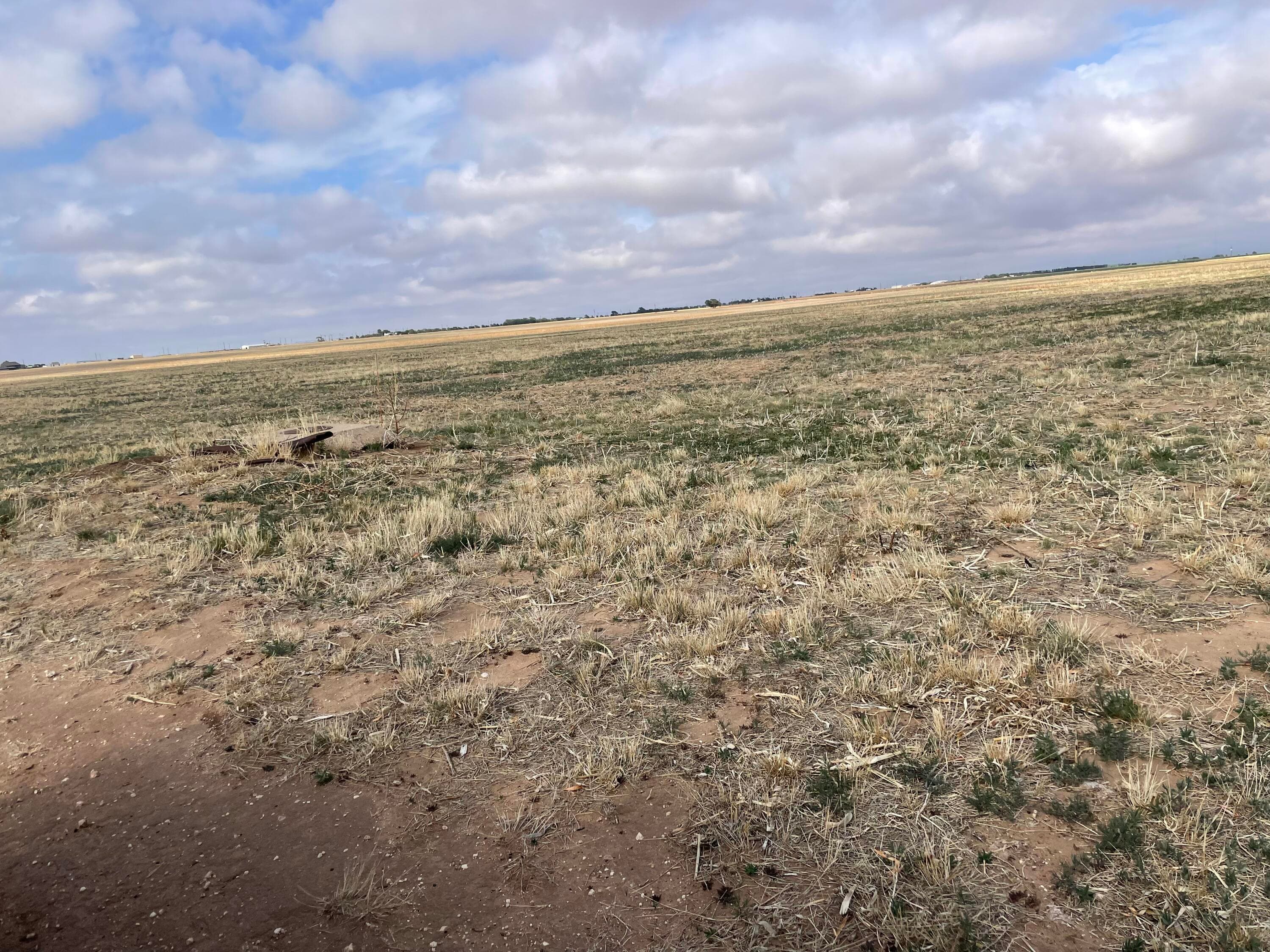 Unimproved Land at County Road 6200