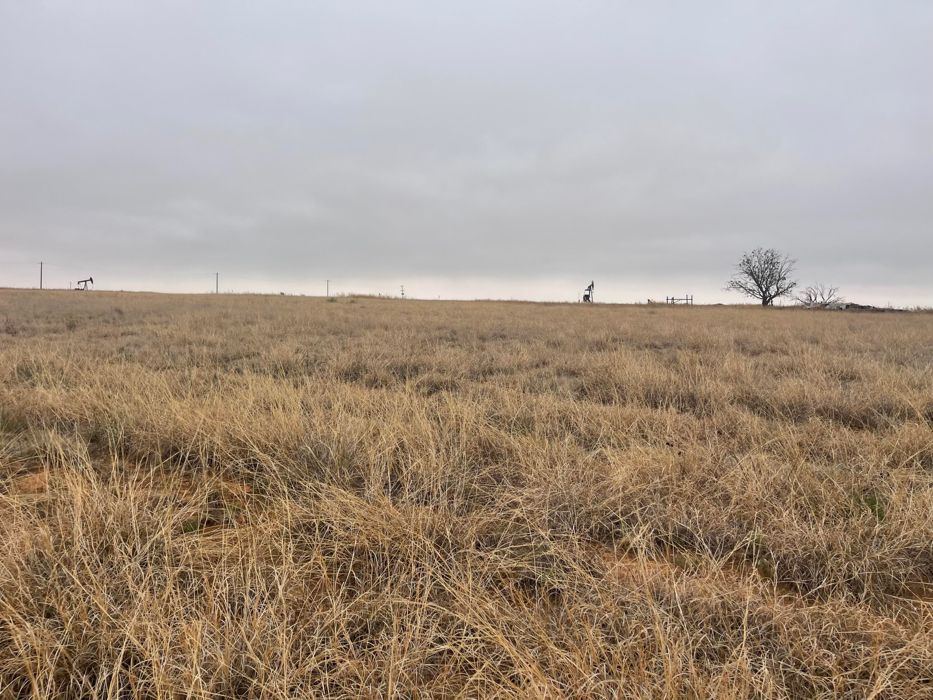 Unimproved Land at 8446 FM 597