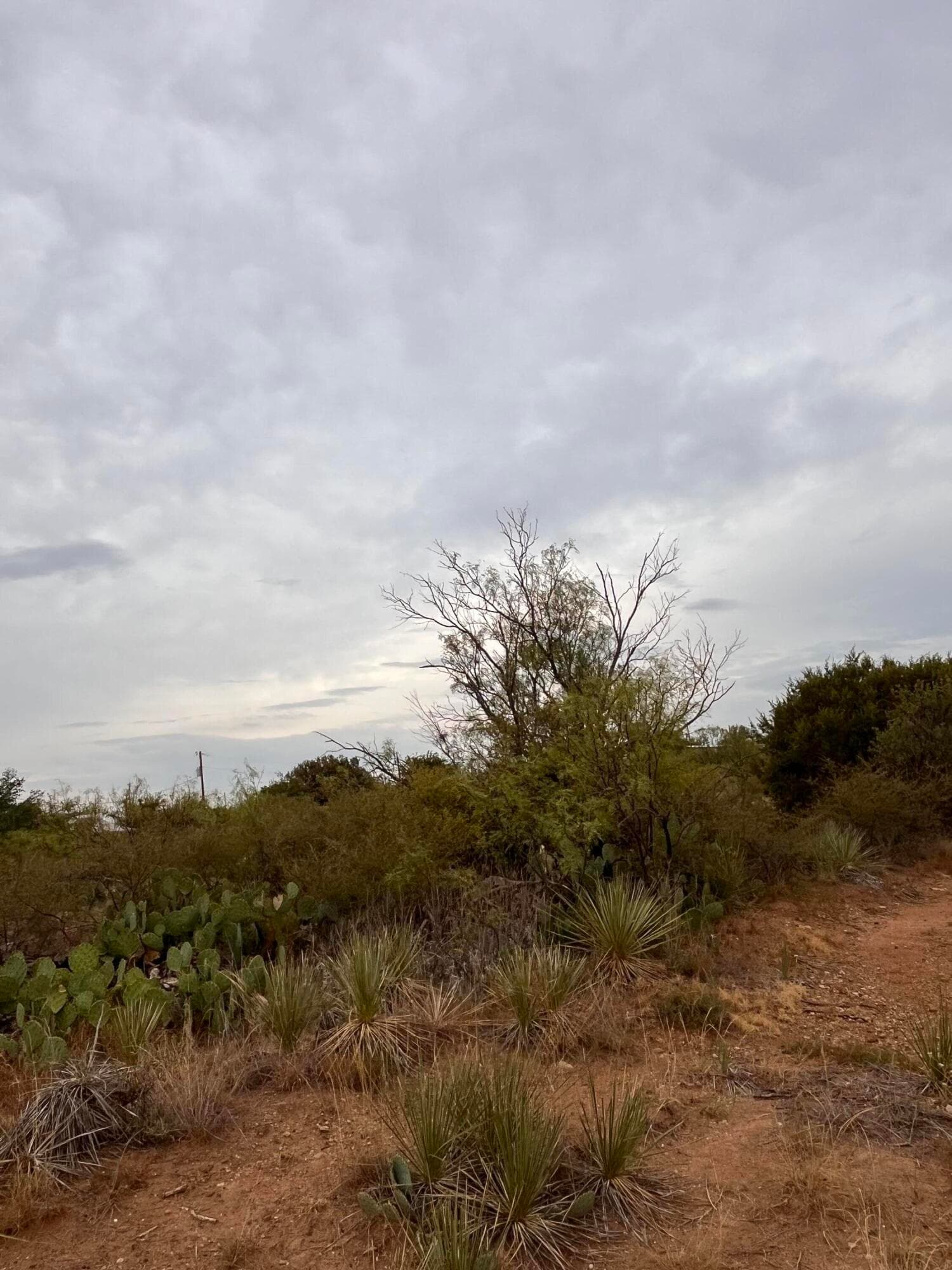 Unimproved Land at 20 Lakesite Road