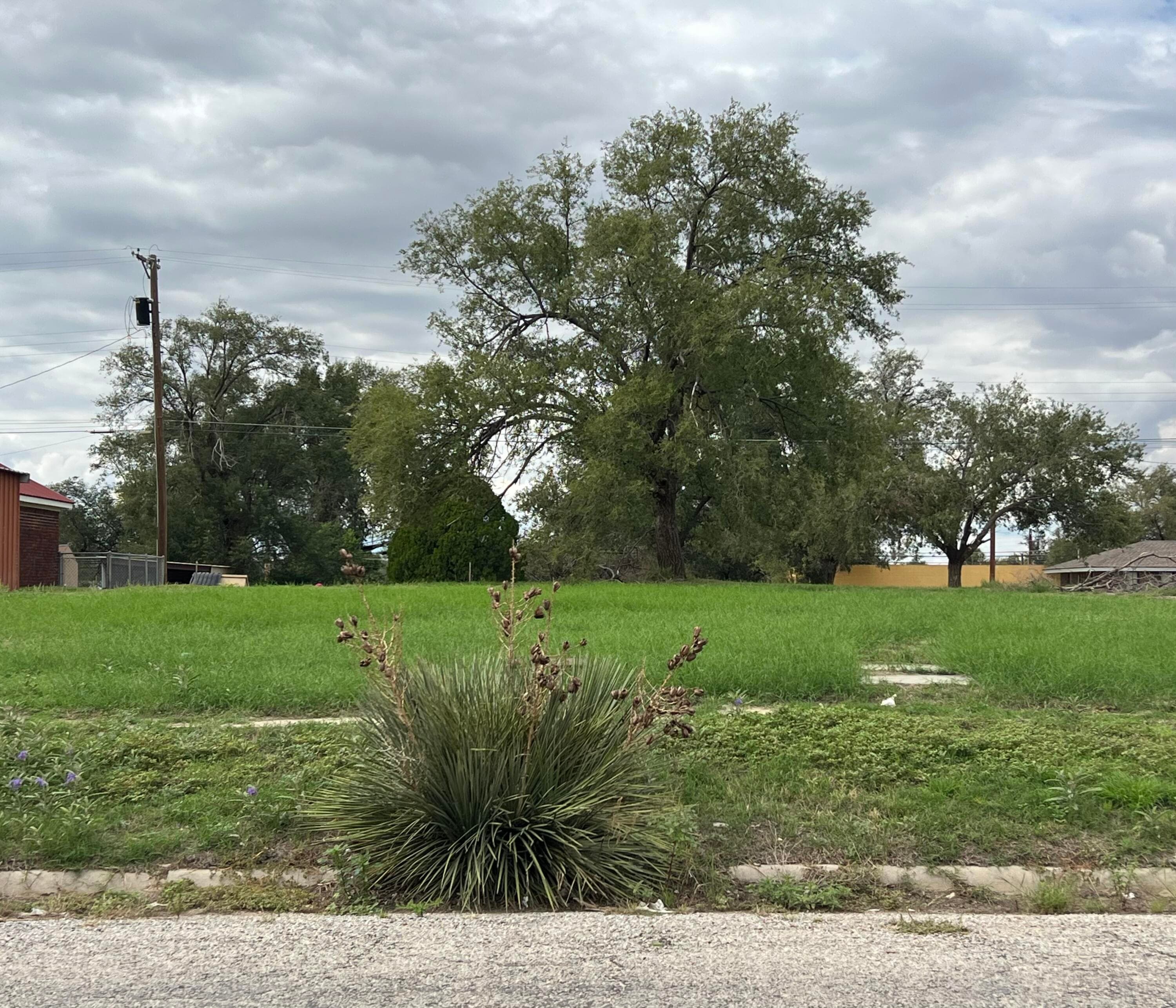 Unimproved Land at 707 Lfd Drive