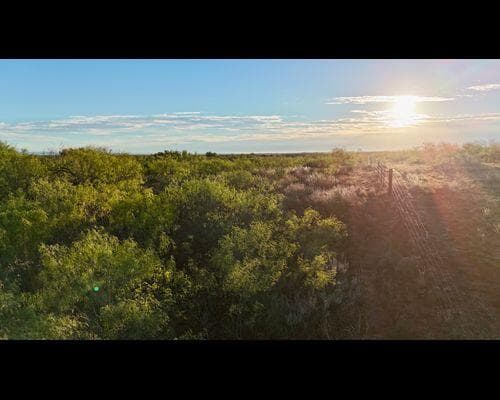 Unimproved Land at 186 County Road
